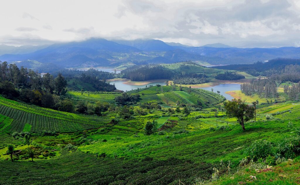 Ooty