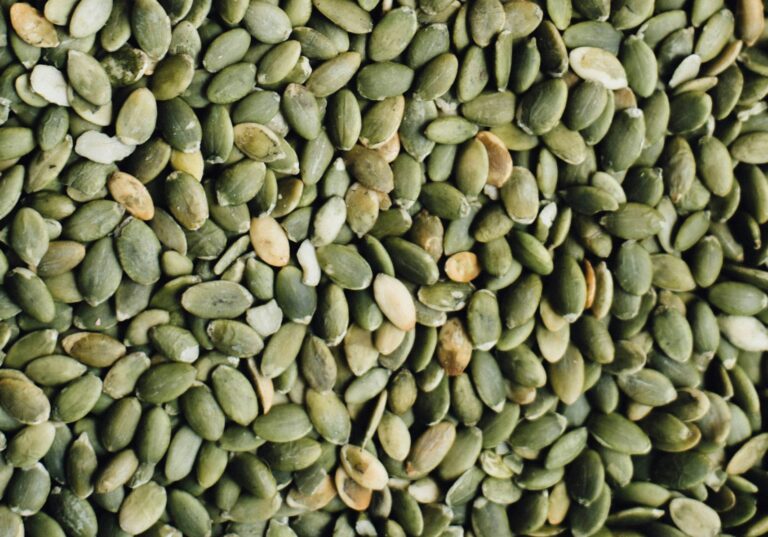 15 Health Benefits of Pumpkin Seeds : Mohit Tandon USA